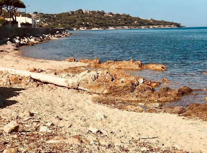 Avec Terrasse Vue A 50 M * Σαιντ-Μαξίμ