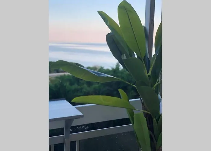 Avec Terrasse Vue à 50 M *