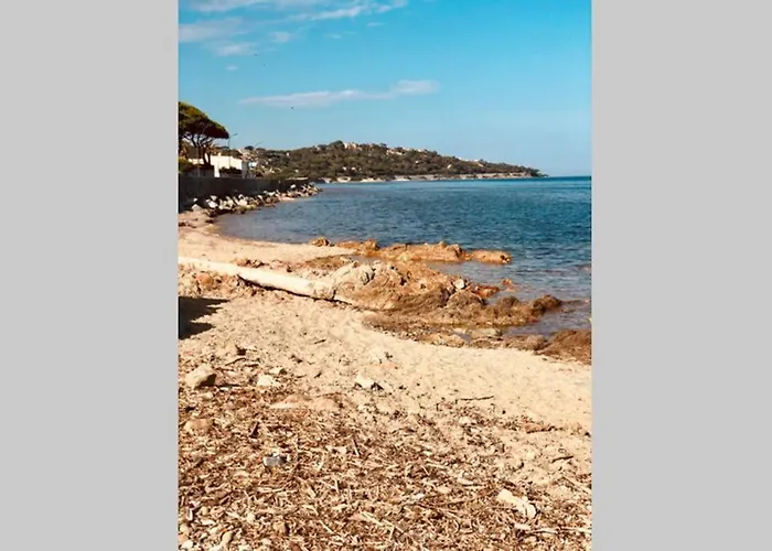 Avec Terrasse Vue A 50 M Διαμέρισμα *